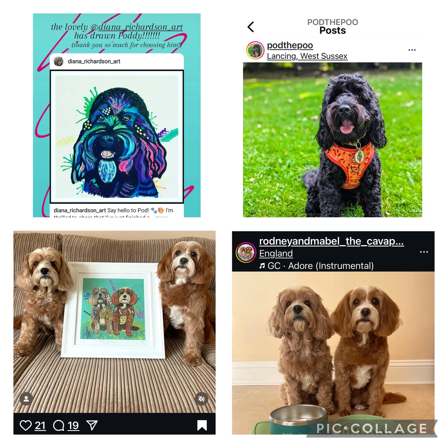 Rodney and Mabel the Cavapoos - Limited Edition Fine Art Print (Unframed)